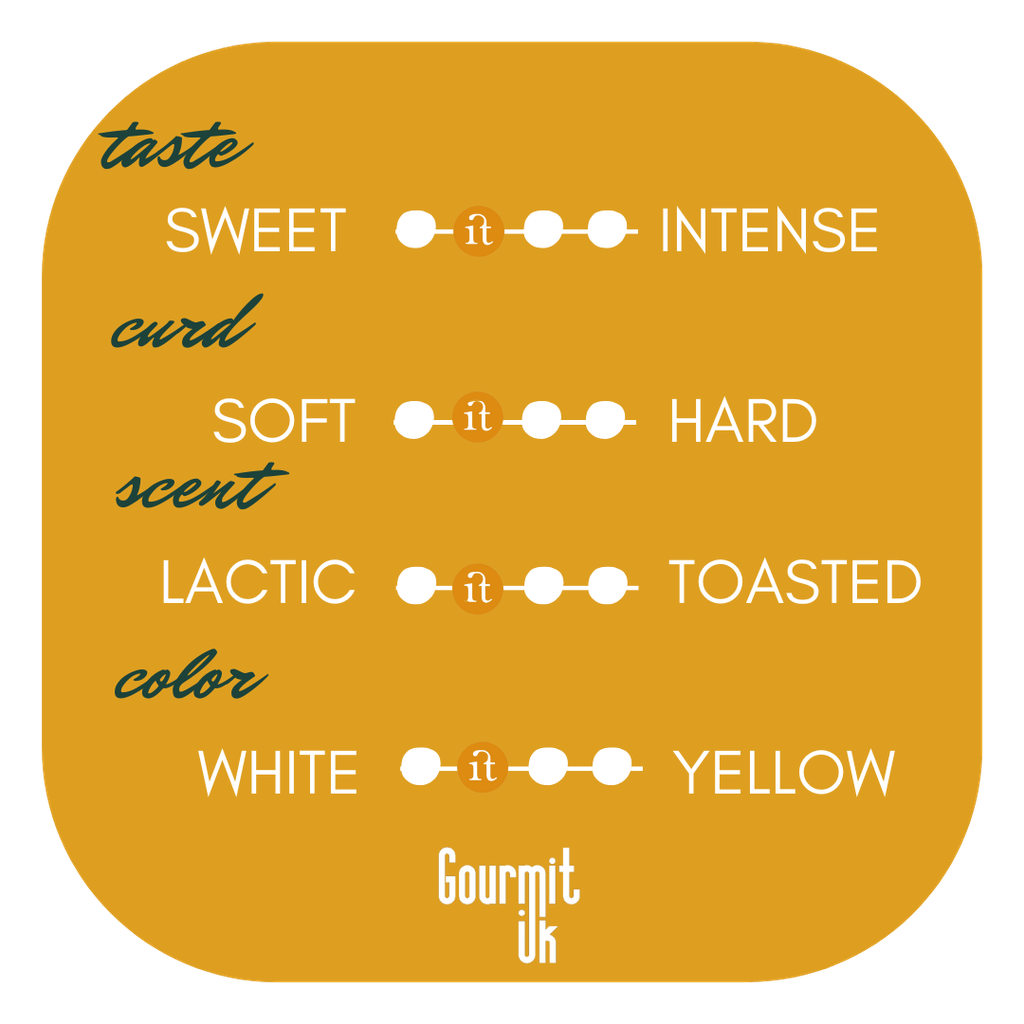 GRANA PADANO PDO collezione taste card