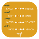 GRANA PADANO PDO collezione taste card