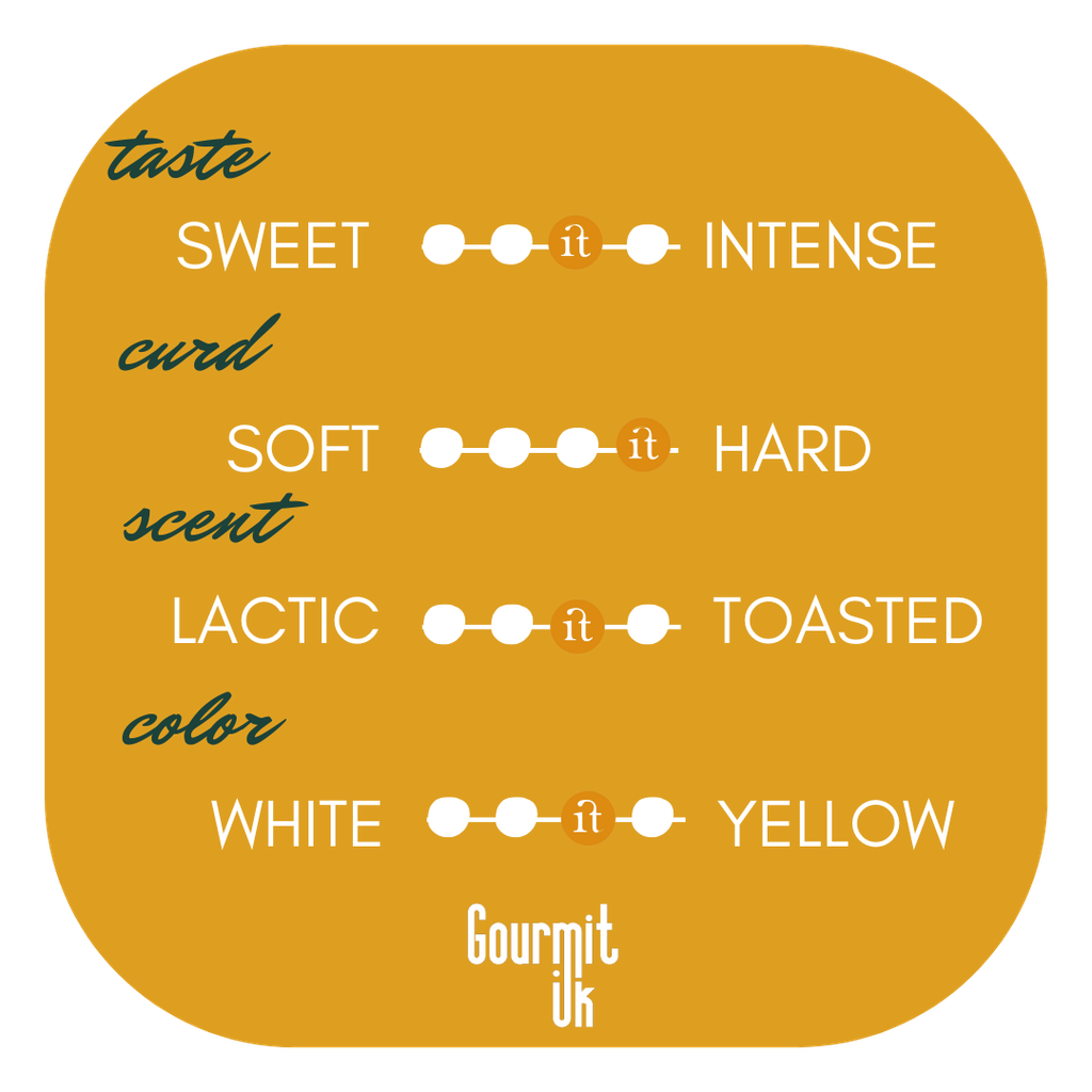 PARMIGIANO REGGIANO PDO Halal Over 30 Months Maturation Taste Card