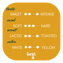 PARMIGIANO REGGIANO PDO Halal Over 30 Months Maturation Taste Card